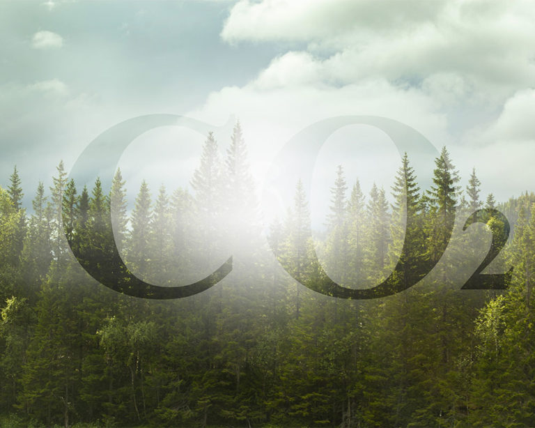 CO2 Preise BEHG - Gemeindewerke Hermaringen